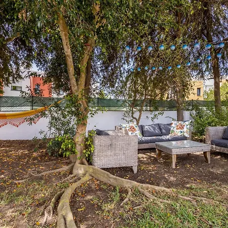 Superb Carvoeiro Alegria Do Sul 7 Bedrooms Pool&sun Terrace Villa Porches (Algarve)